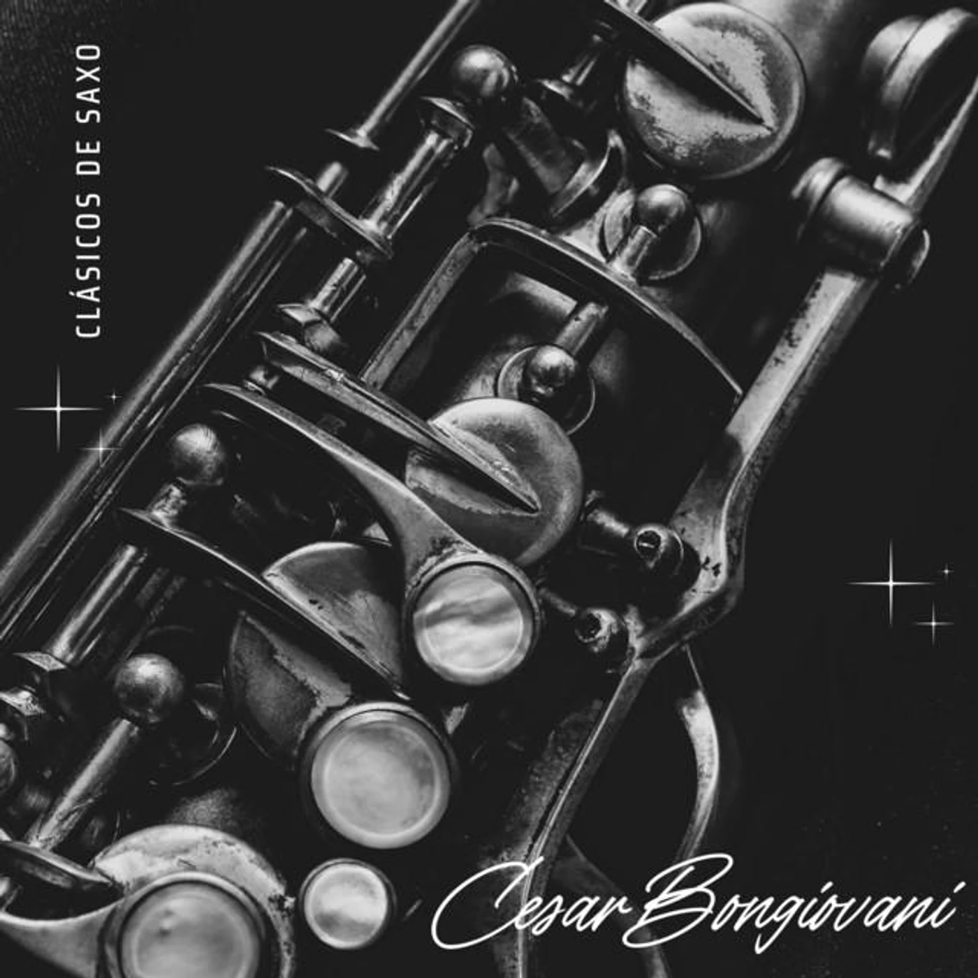 Cesar Bongiovani Brand Page