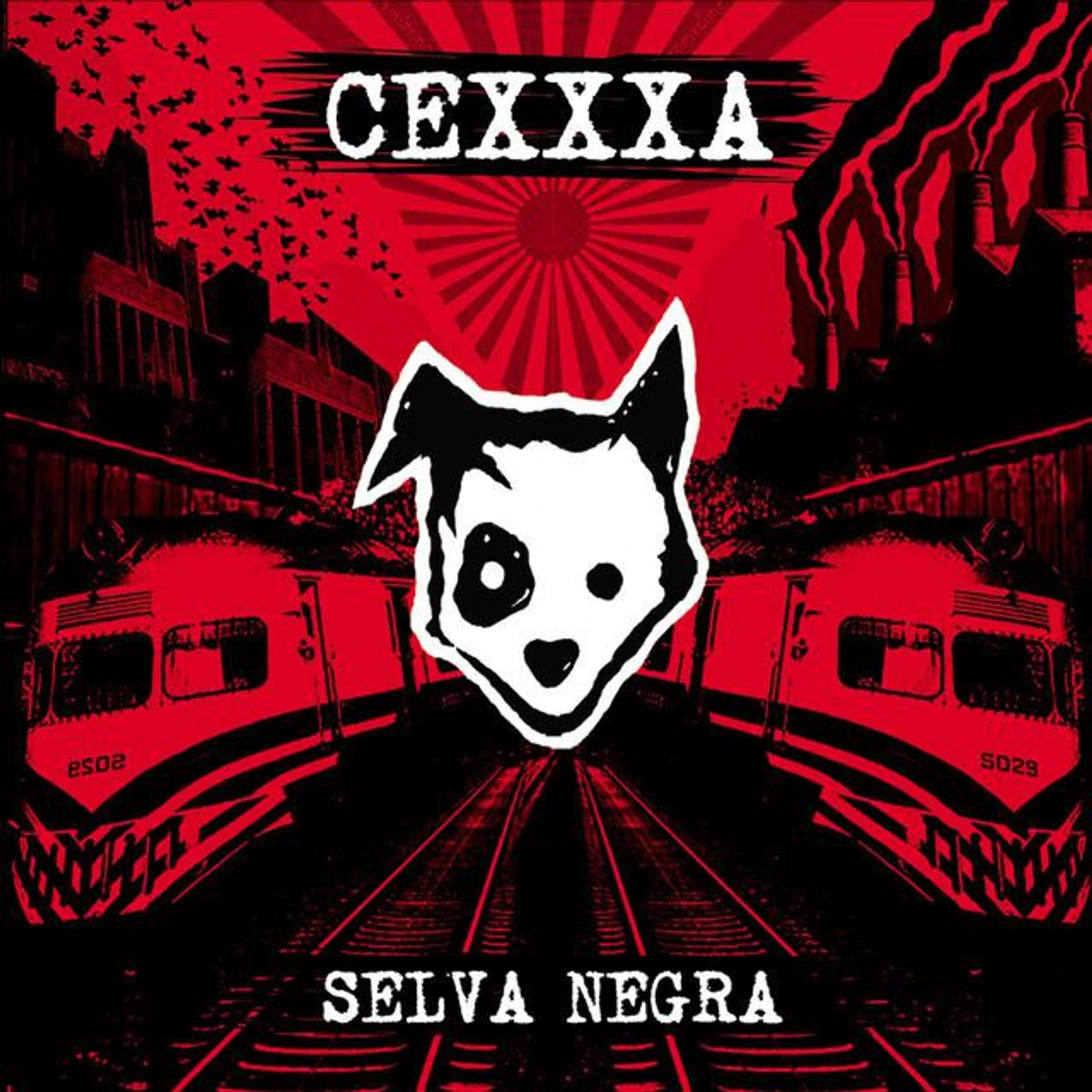 Cexxxa Brand Page