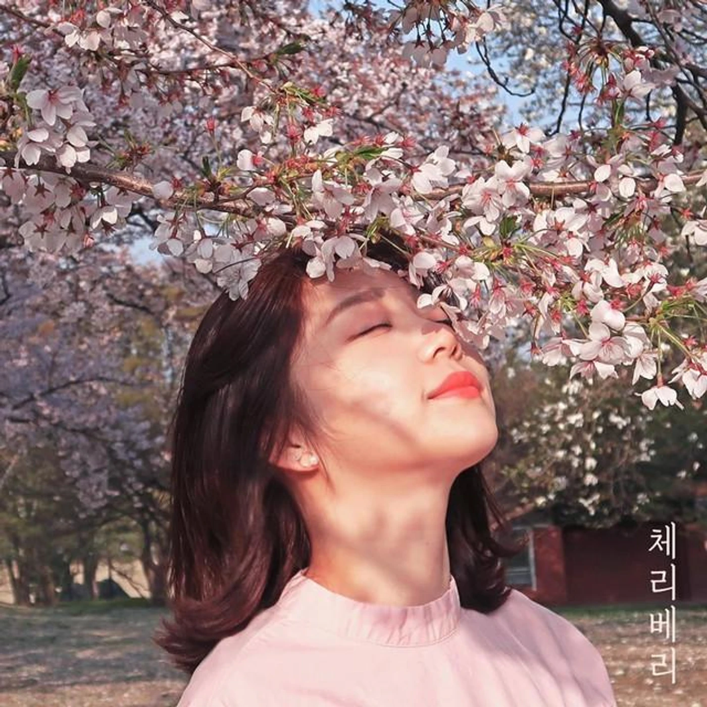 CherryBerry Brand Page