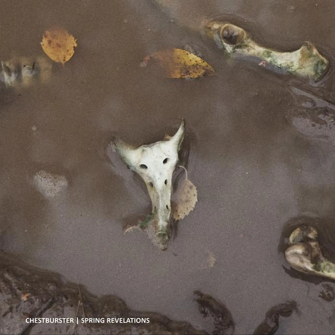 Chestburster Brand Page