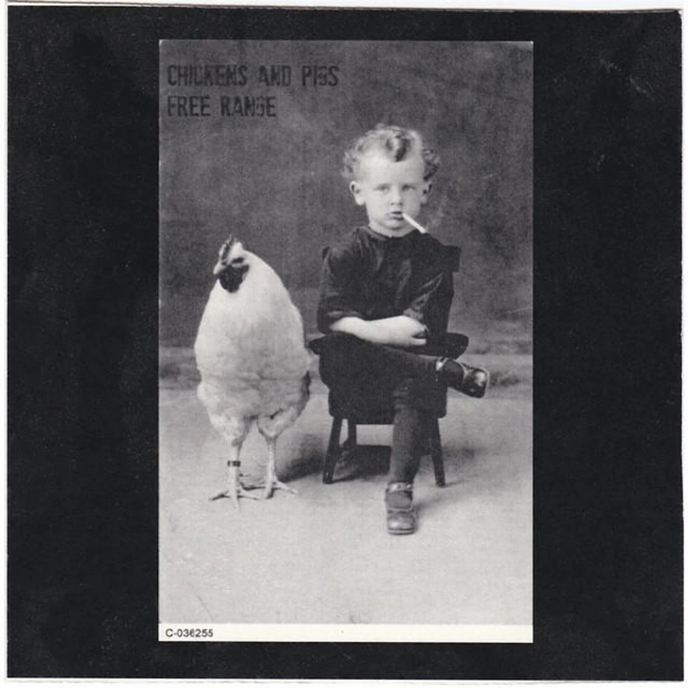 Chickens and Pigs Brand Page
