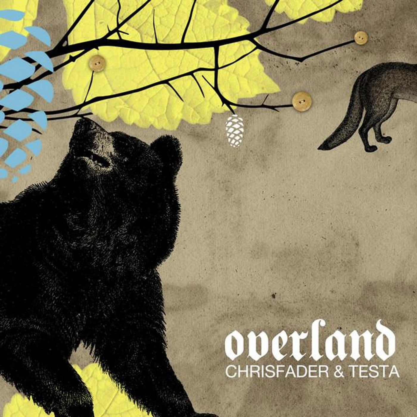 Chrisfader & Testa Brand Page