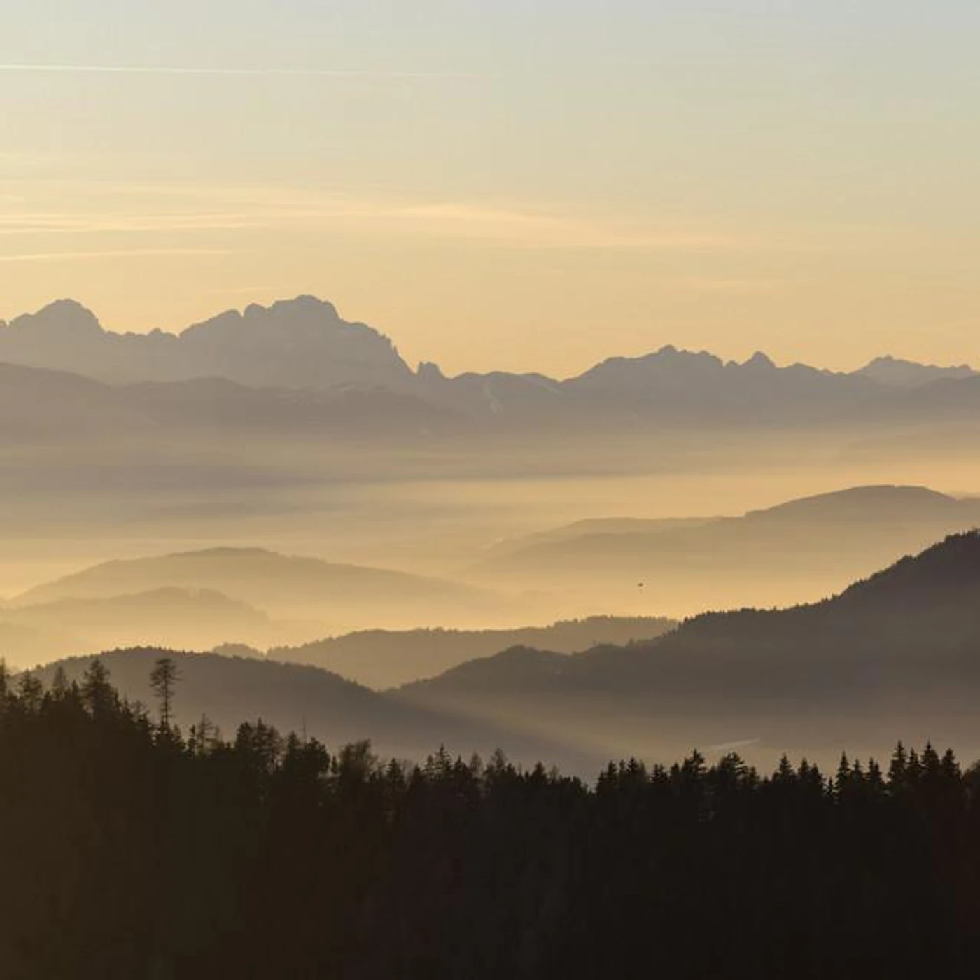 Chuck Mitchell Brand Page