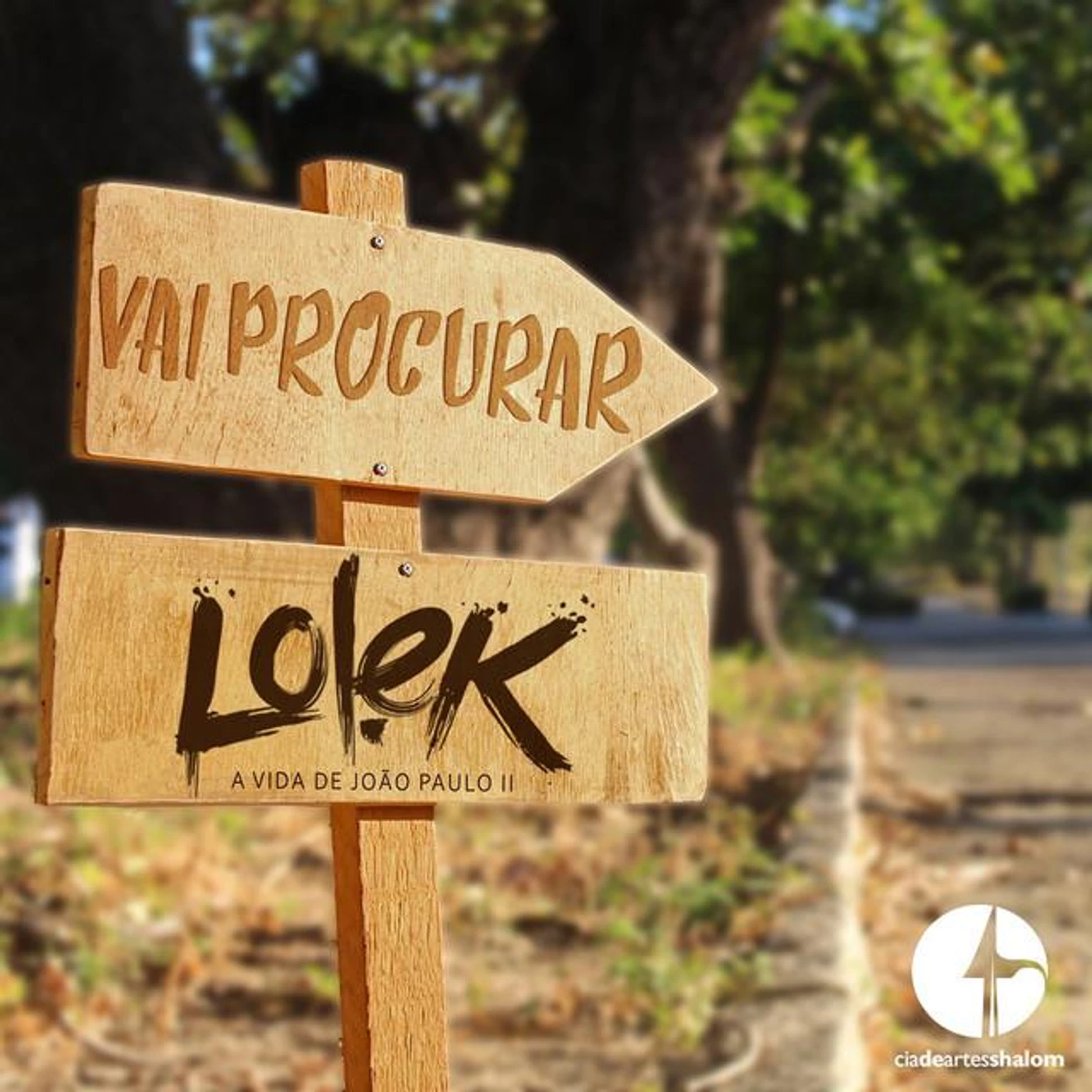 CIA de Artes Shalom Brand Page