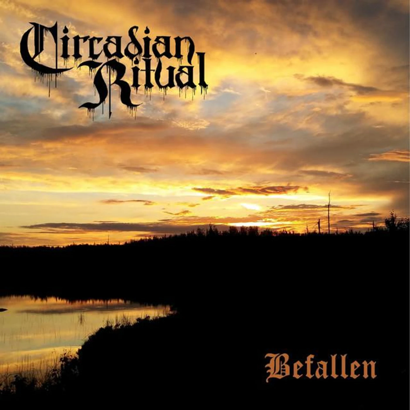 Circadian Ritual
