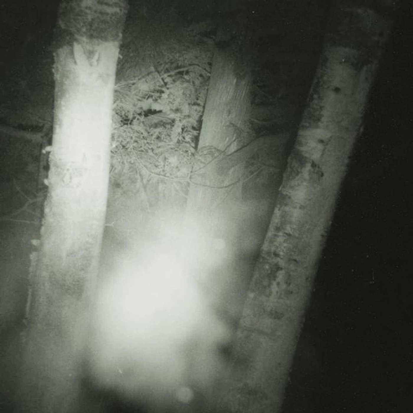 Circle of Salt Brand Page