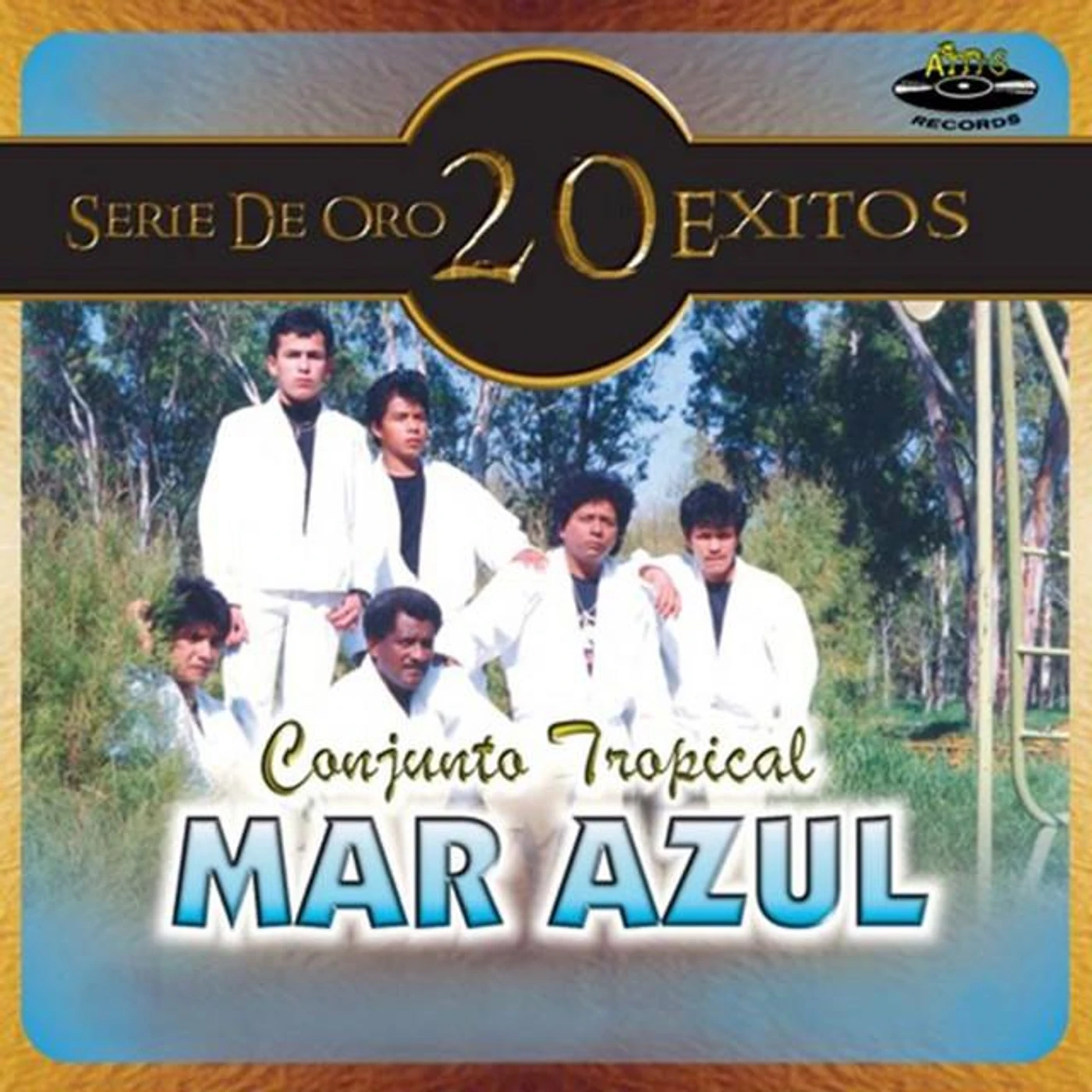 Conjunto Tropical Mar Azul Brand Page