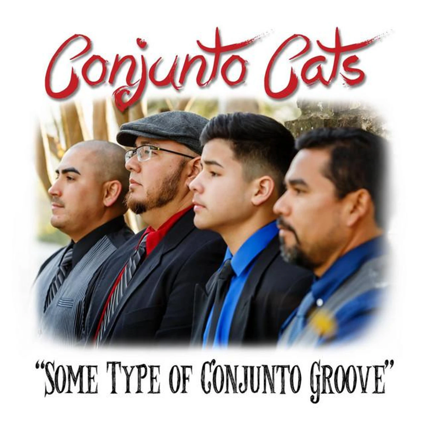 Conjunto Cats