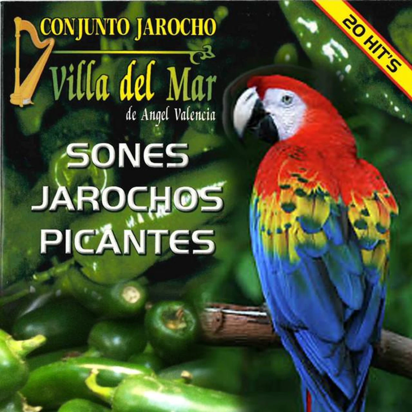 Conjunto Jarocho Villa Del Mar Brand Page