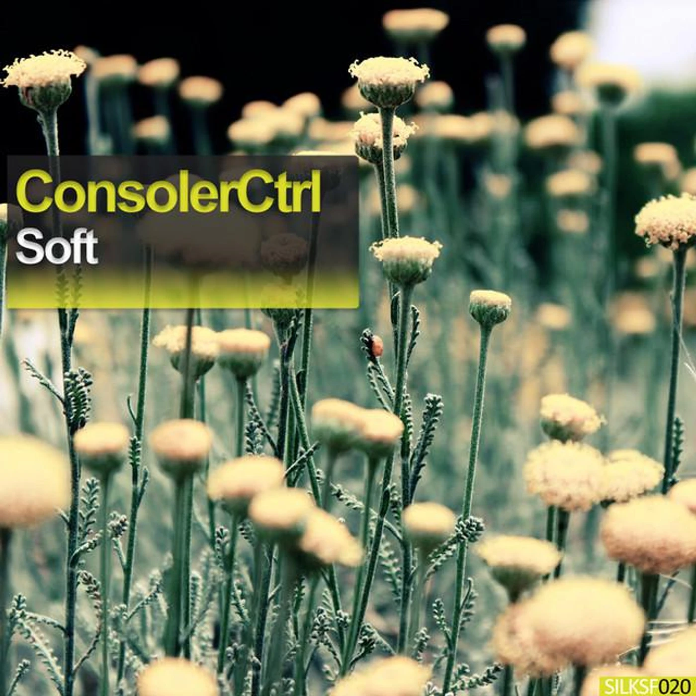 ConsolerCtrl