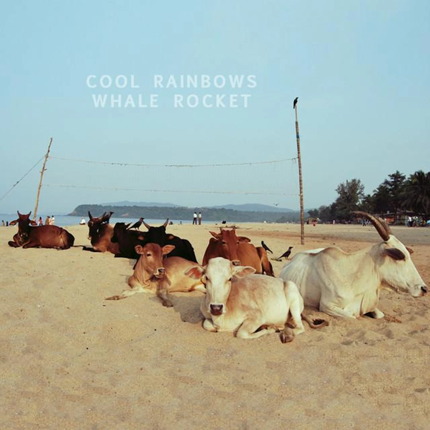 Cool Rainbows