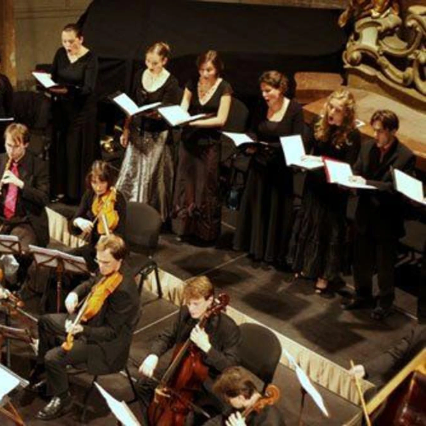 Collegium 1704 Brand Page