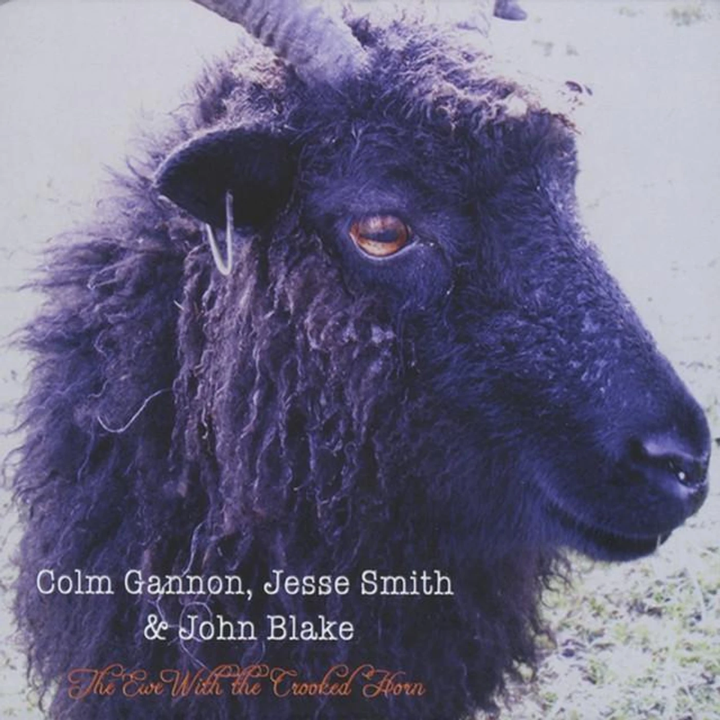 Colm Gannon, Jesse Smith & John Blake