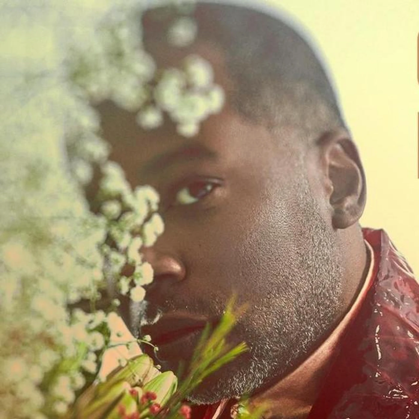 Coréon Dú Brand Page