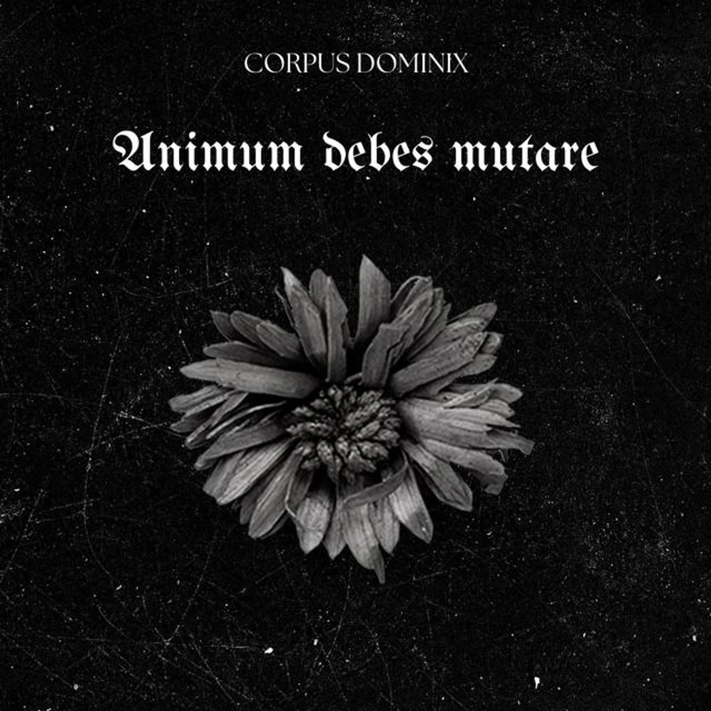 Corpus Dominix Brand Page