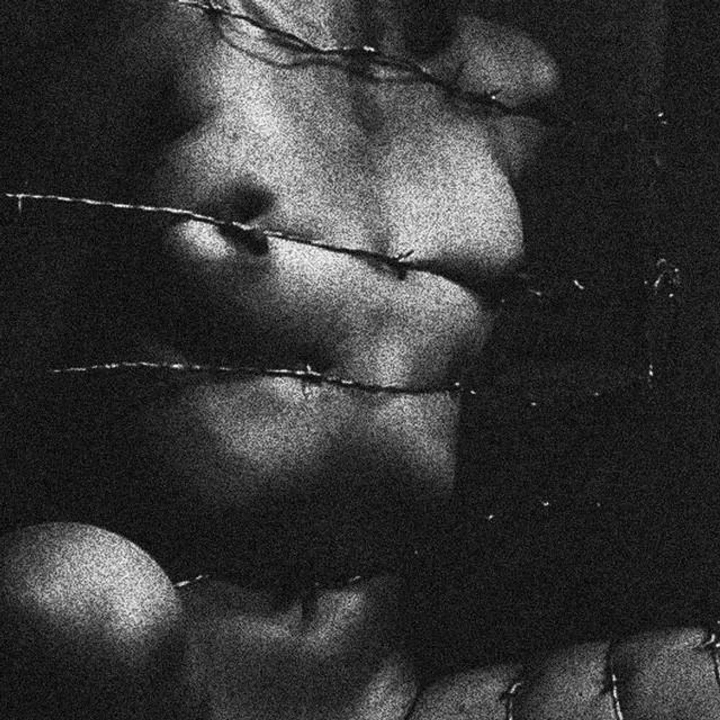 Clavicvla Brand Page