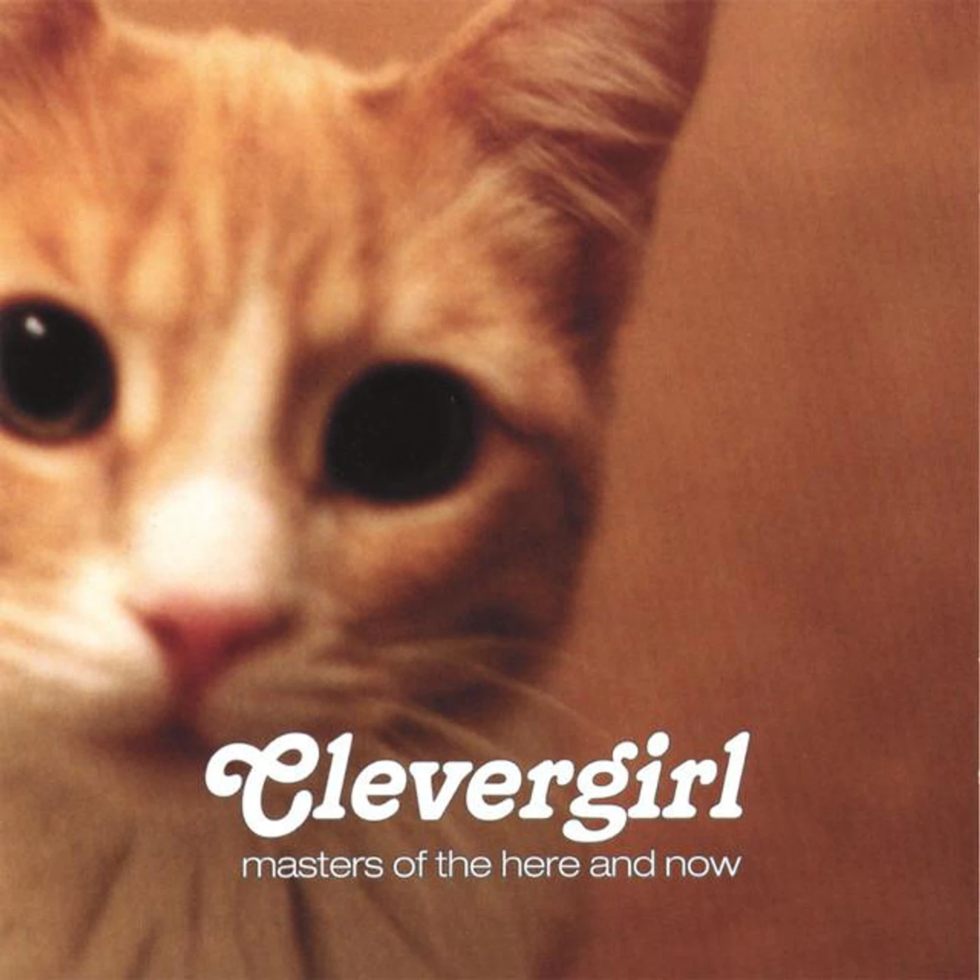 Clevergirl Brand Page