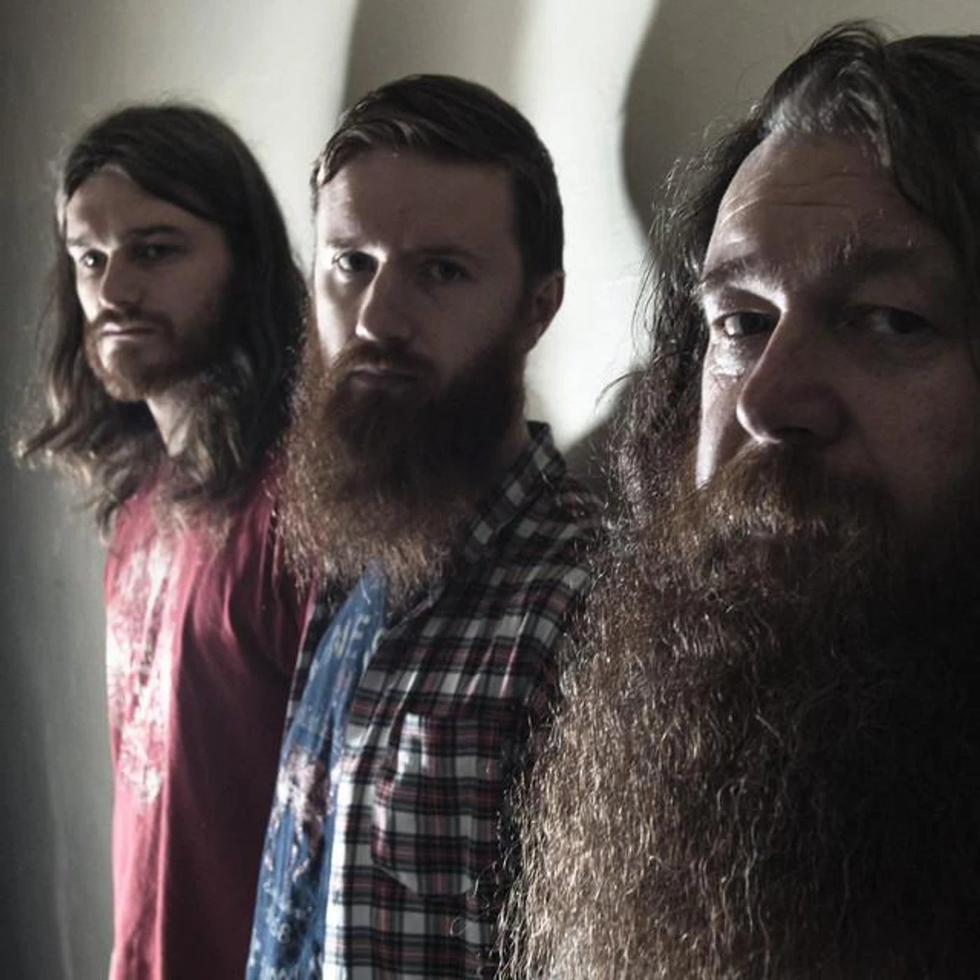 Crow Black Chicken Brand Page