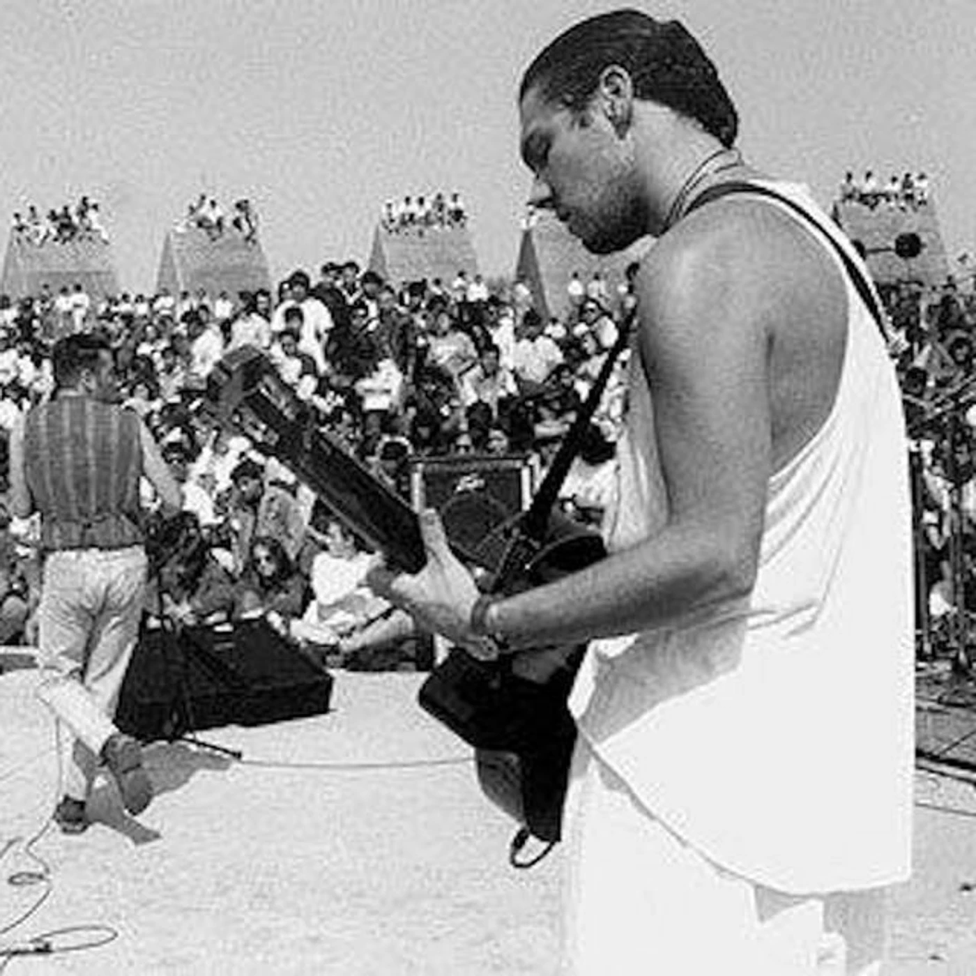 Crista Galli Brand Page