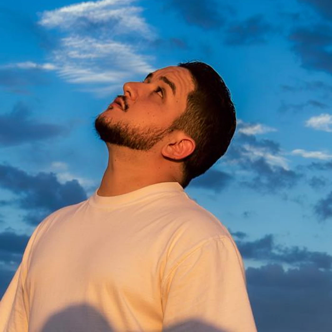 Cryptic Wisdom Brand Page