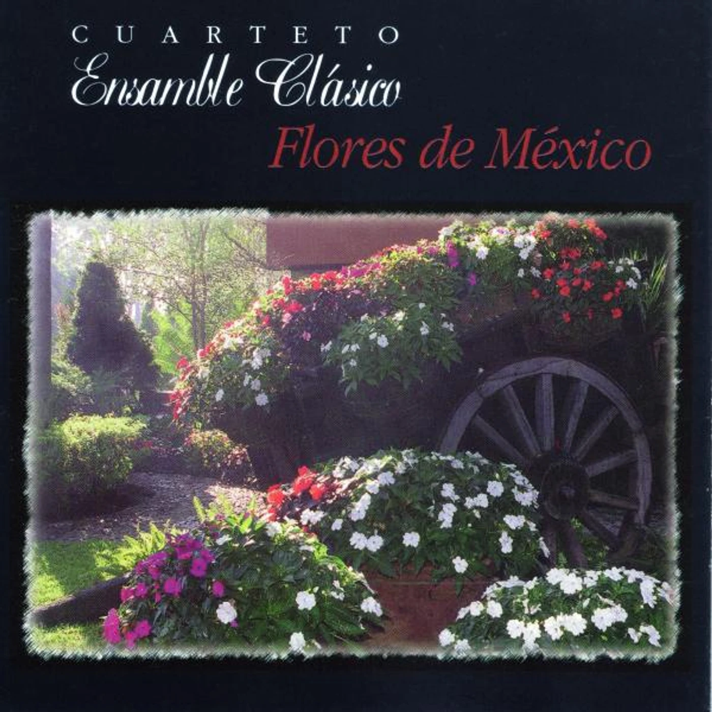 Cuarteto Aires de Mexico Brand Page