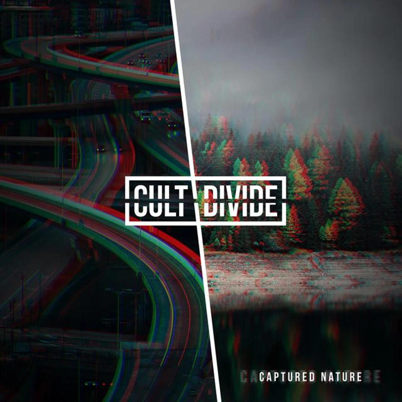 Cult Divide