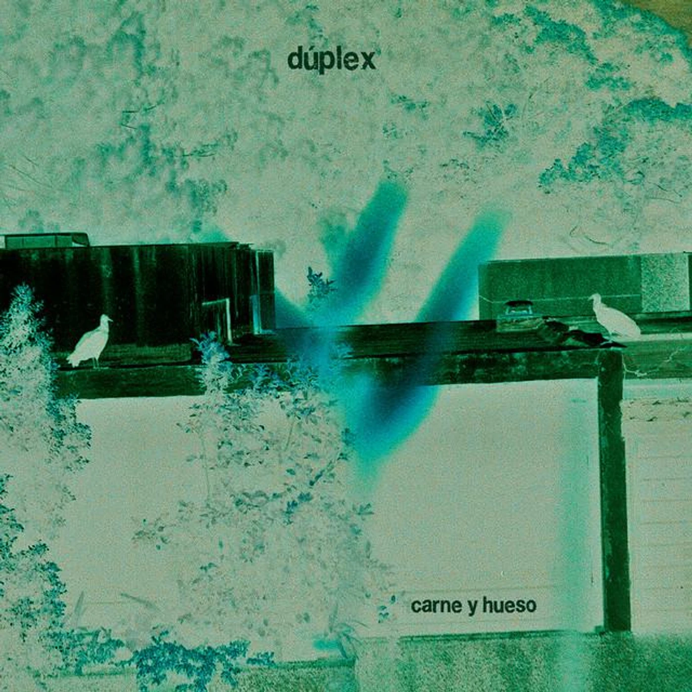 Dúplex