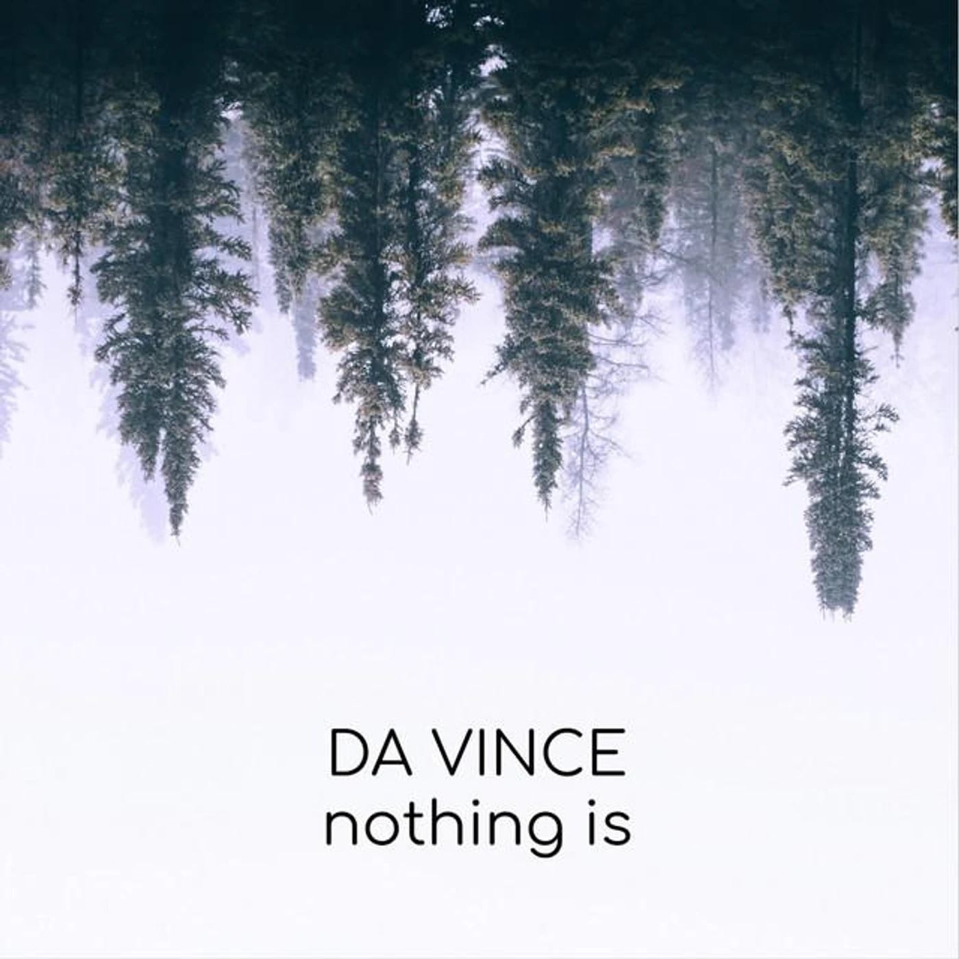 Da Vince Brand Page