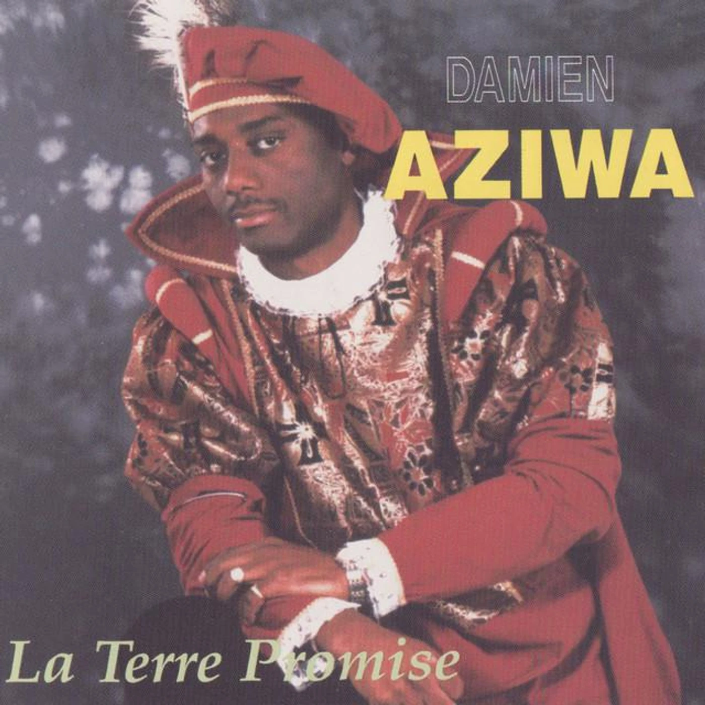 Damien Aziwa Brand Page