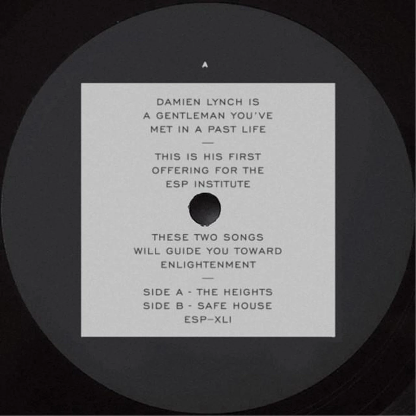 Damien Lynch Brand Page