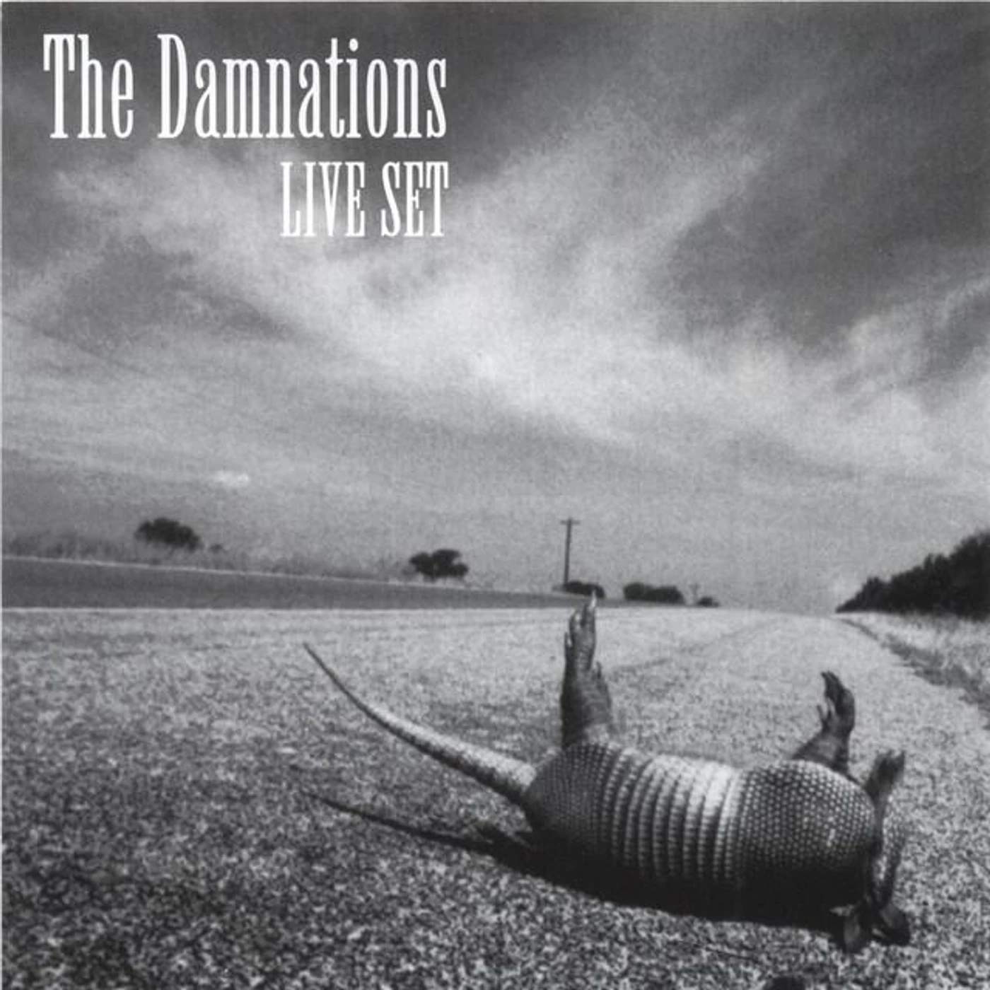 The Damnations Brand Page