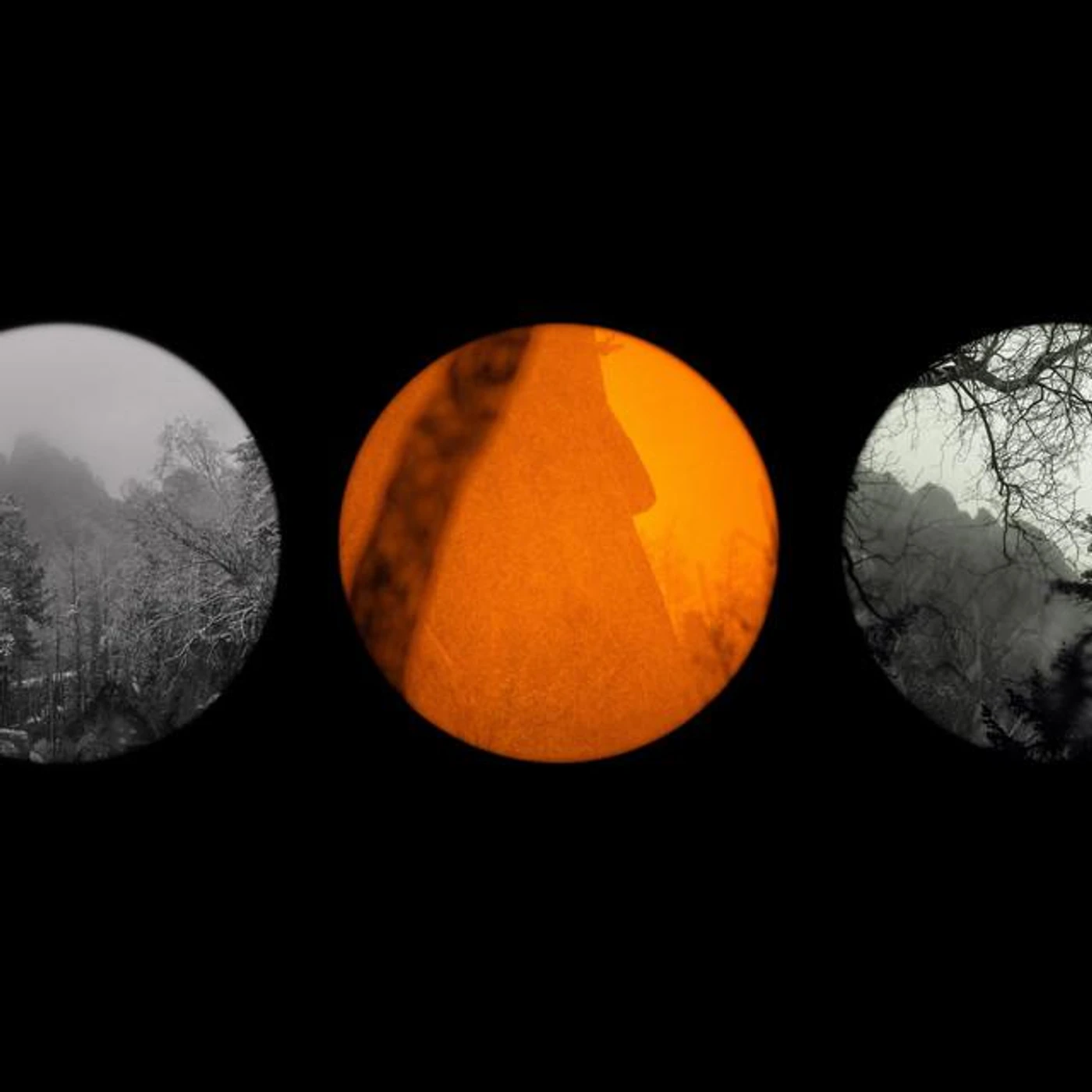 Dan Stevens Brand Page