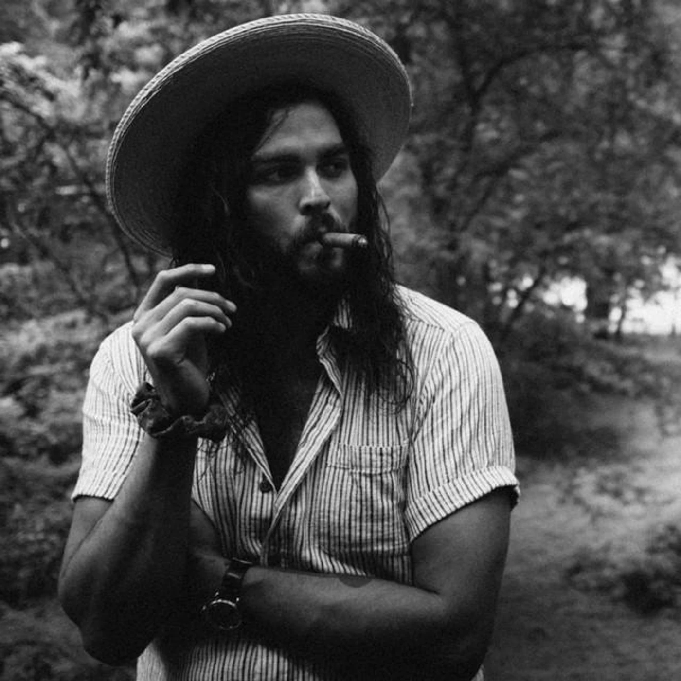 Dan Rodriguez Brand Page