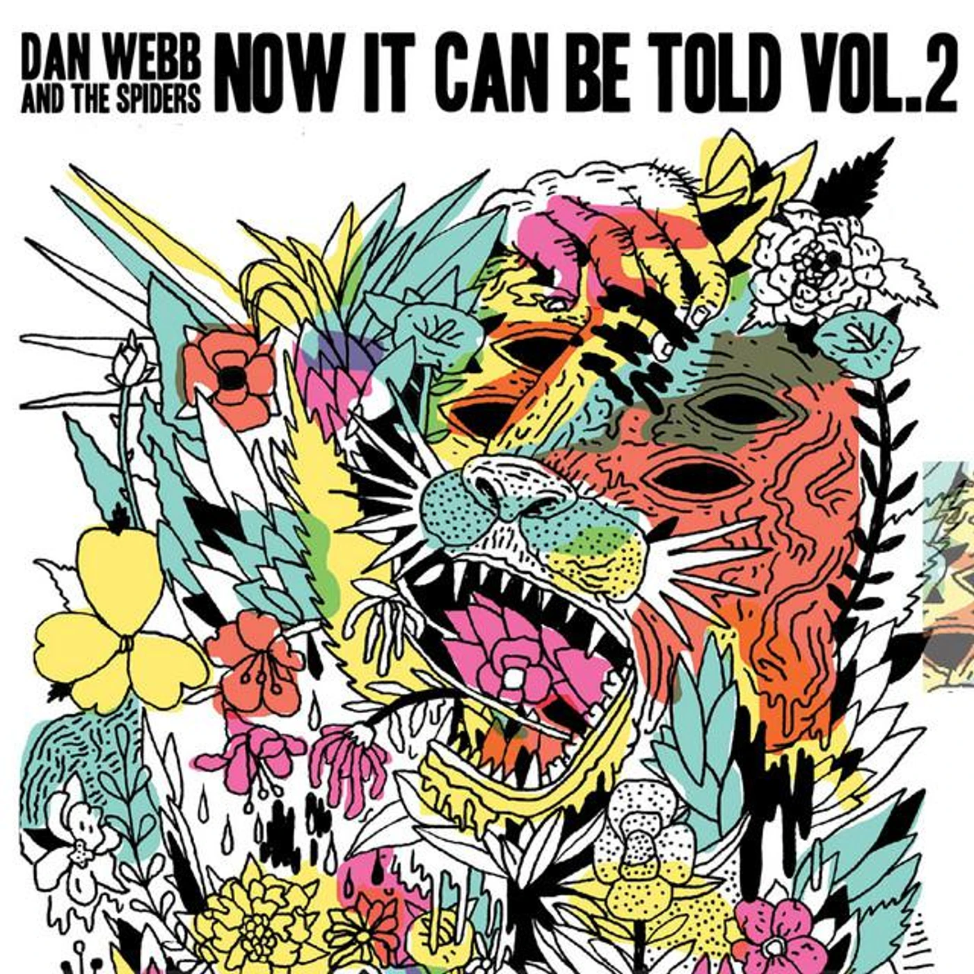 Dan Webb and the Spiders Brand Page