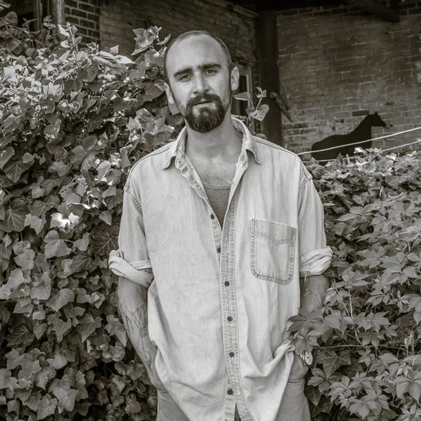 Dan Wriggins Brand Page