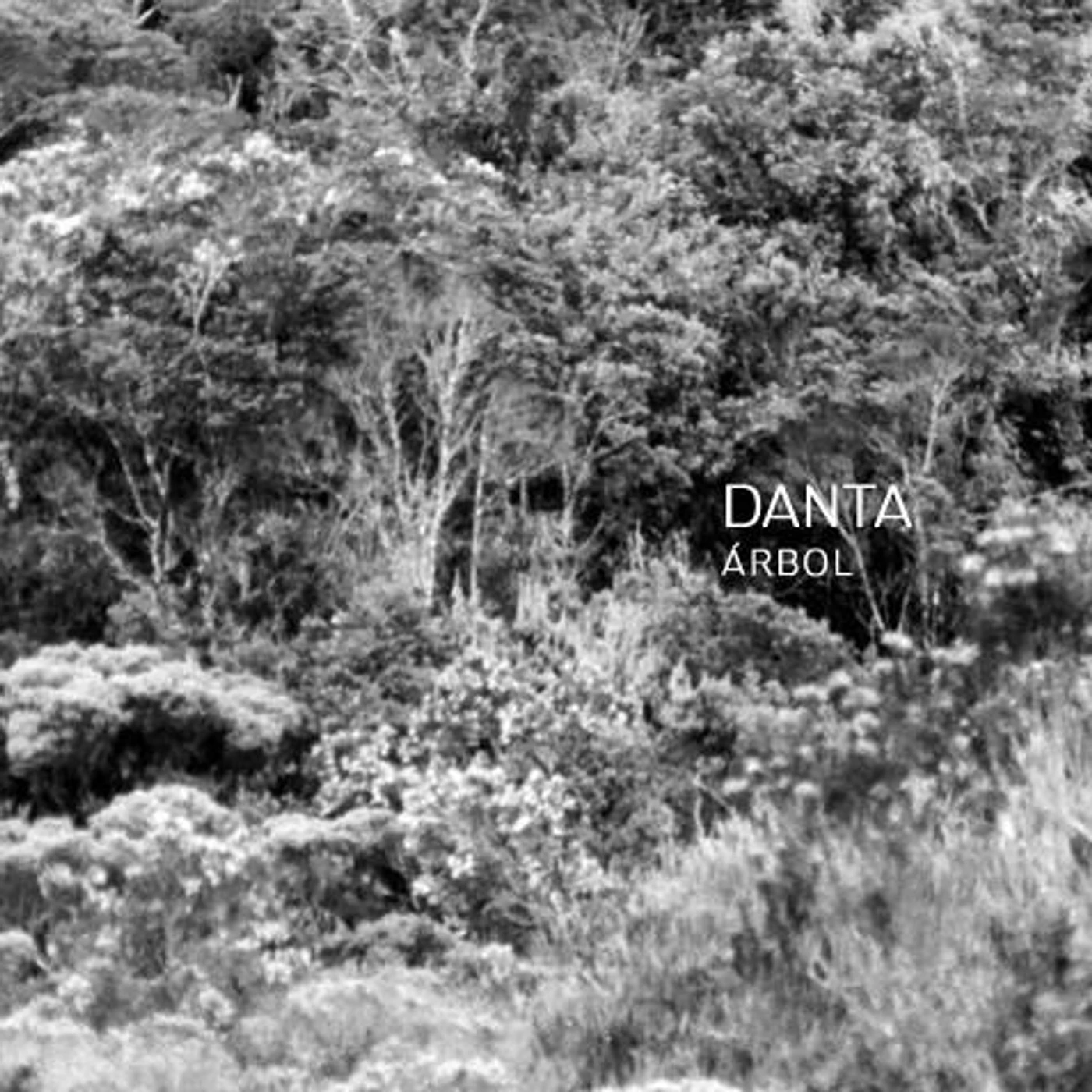 Danta Brand Page