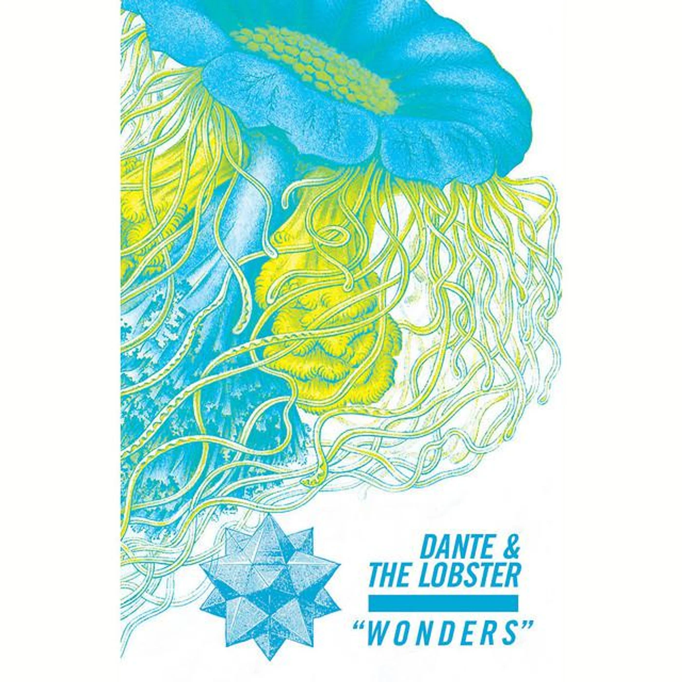 Dante & the Lobster Brand Page