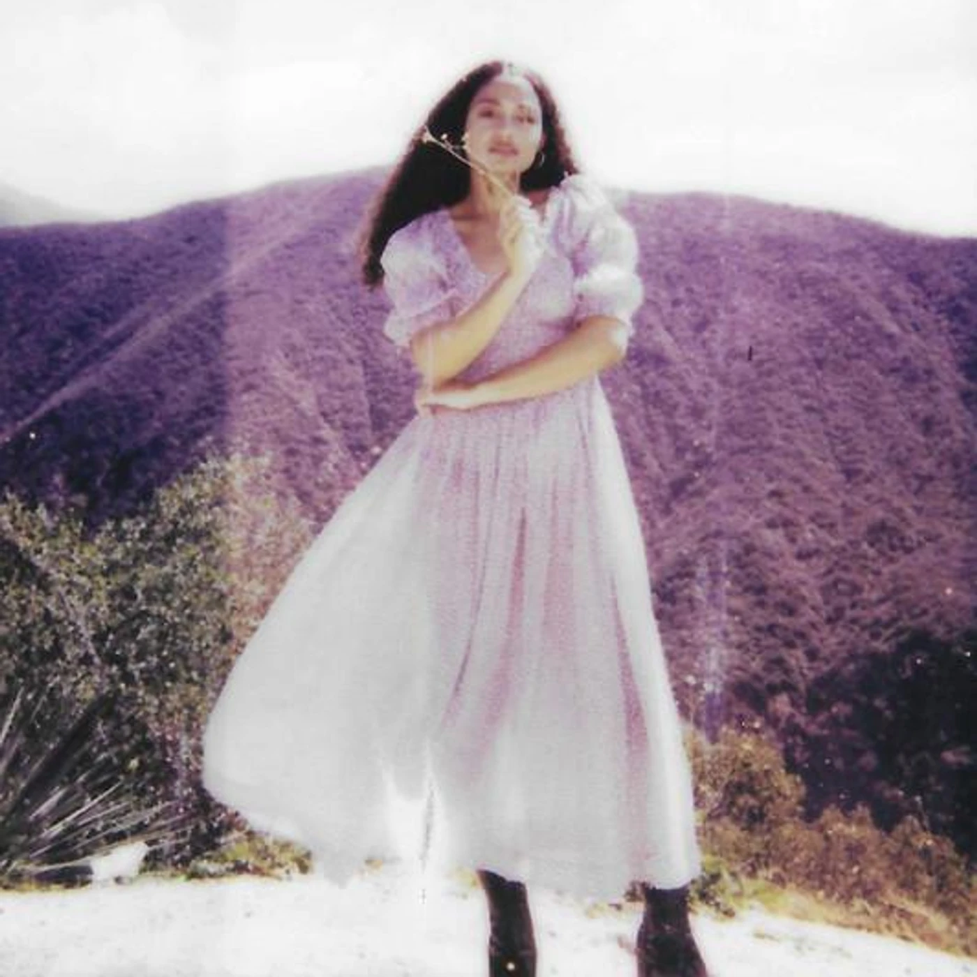 Dana Williams Brand Page