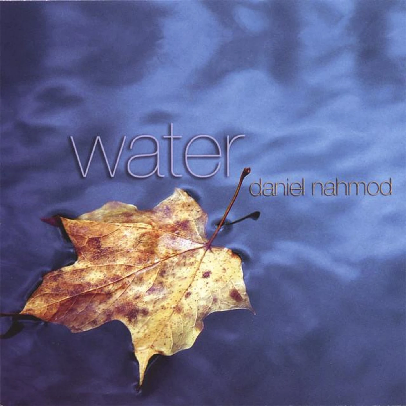 Daniel Nahmod Brand Page