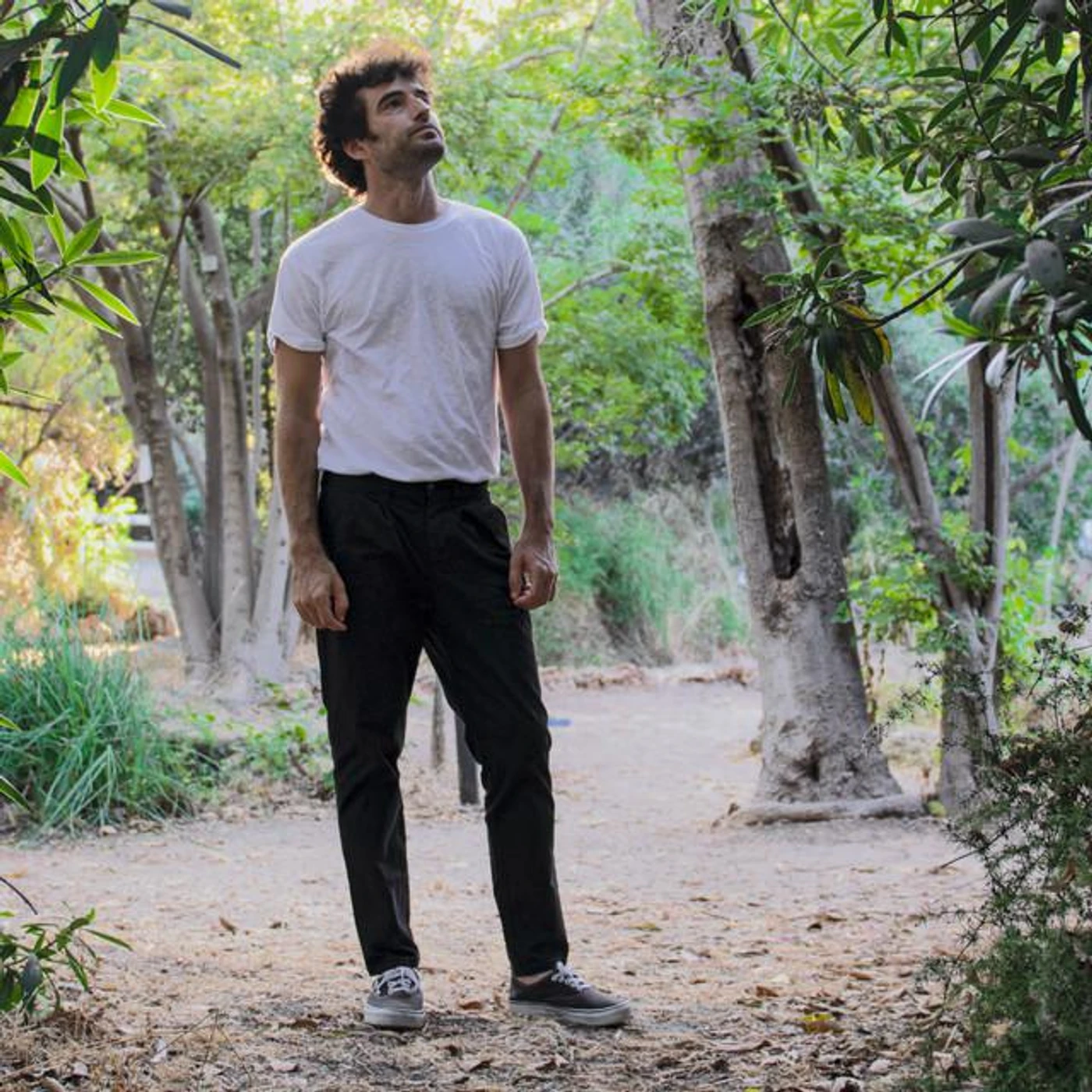 Daniel Sapir Brand Page