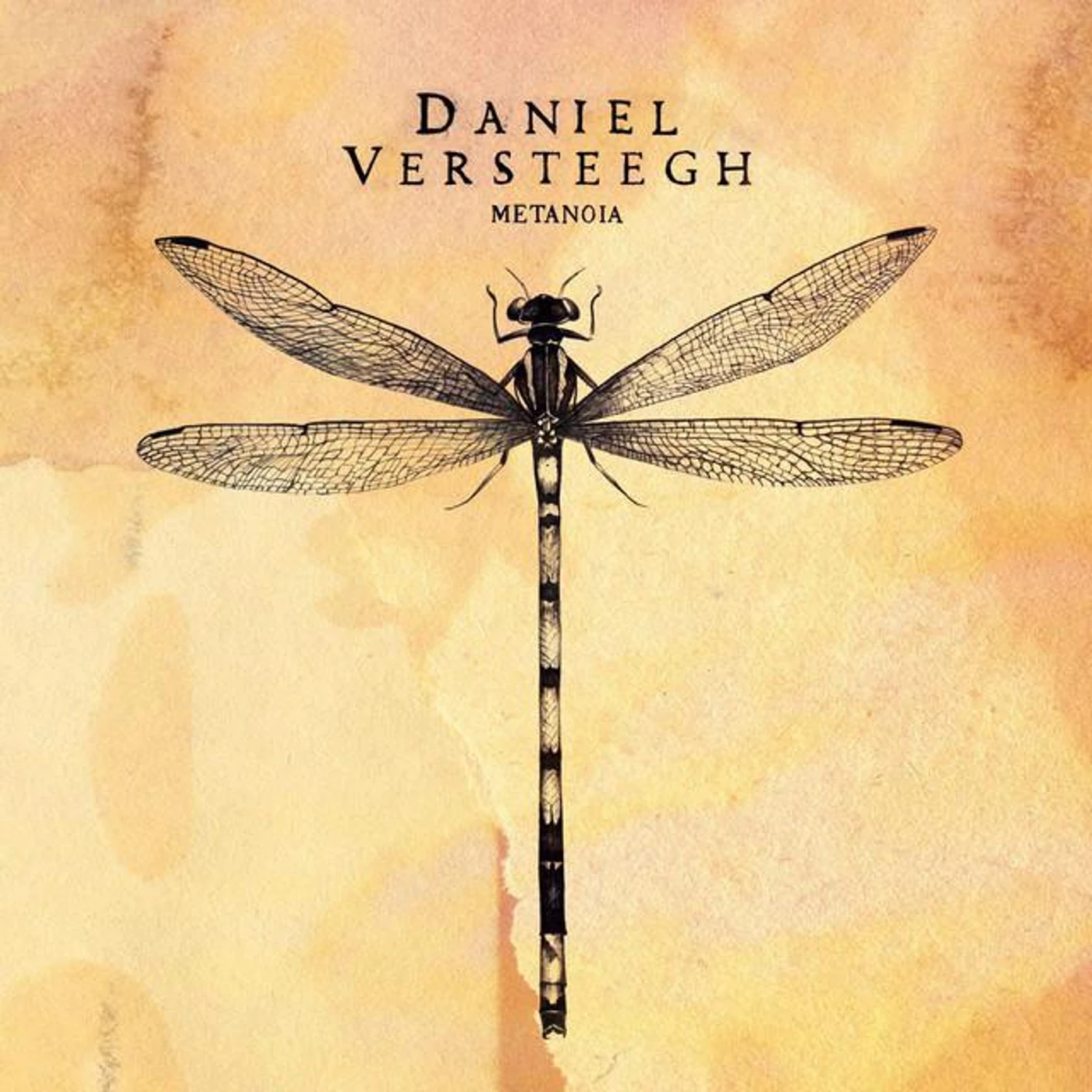 Daniel Versteegh Brand Page