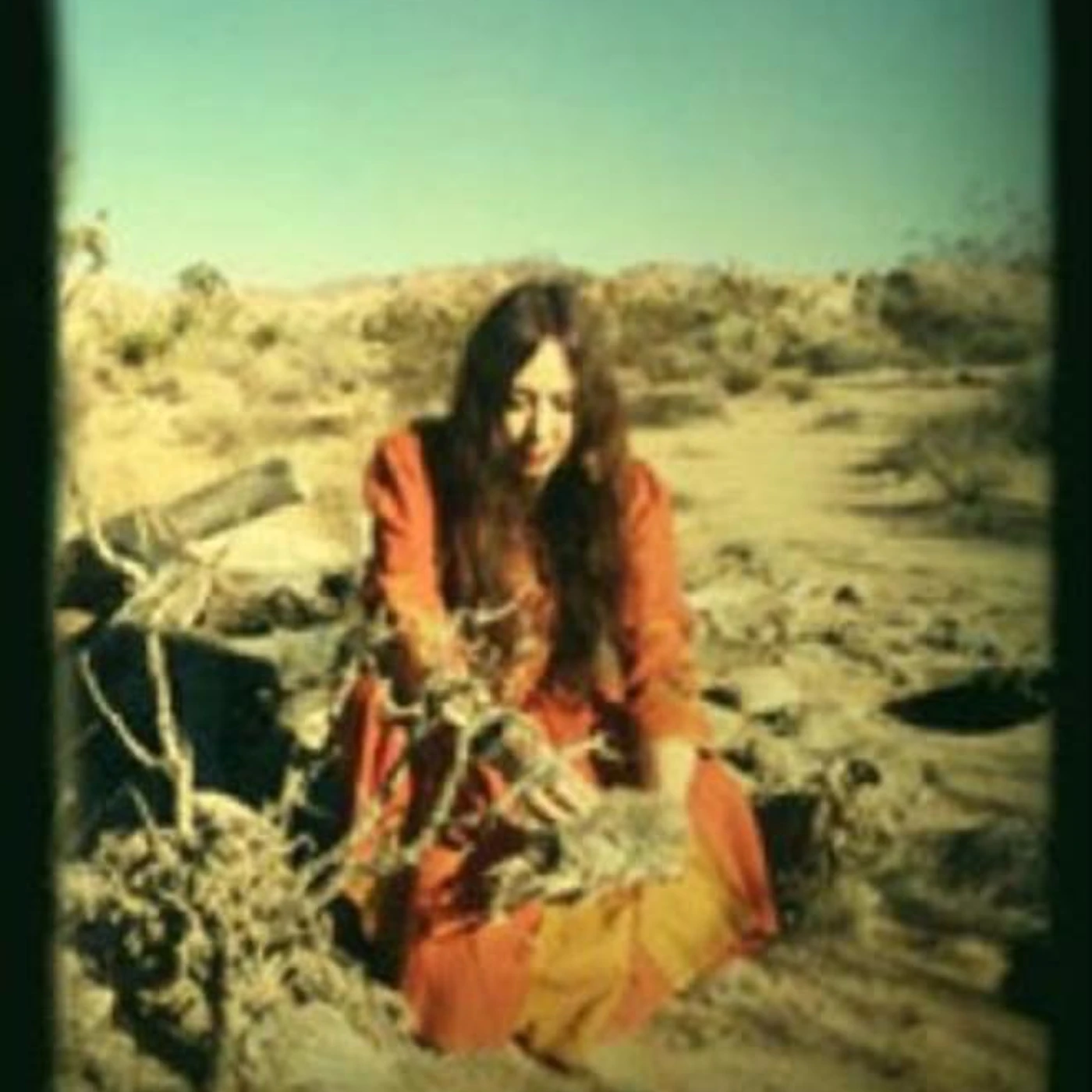 Danielle De Picciotto Brand Page