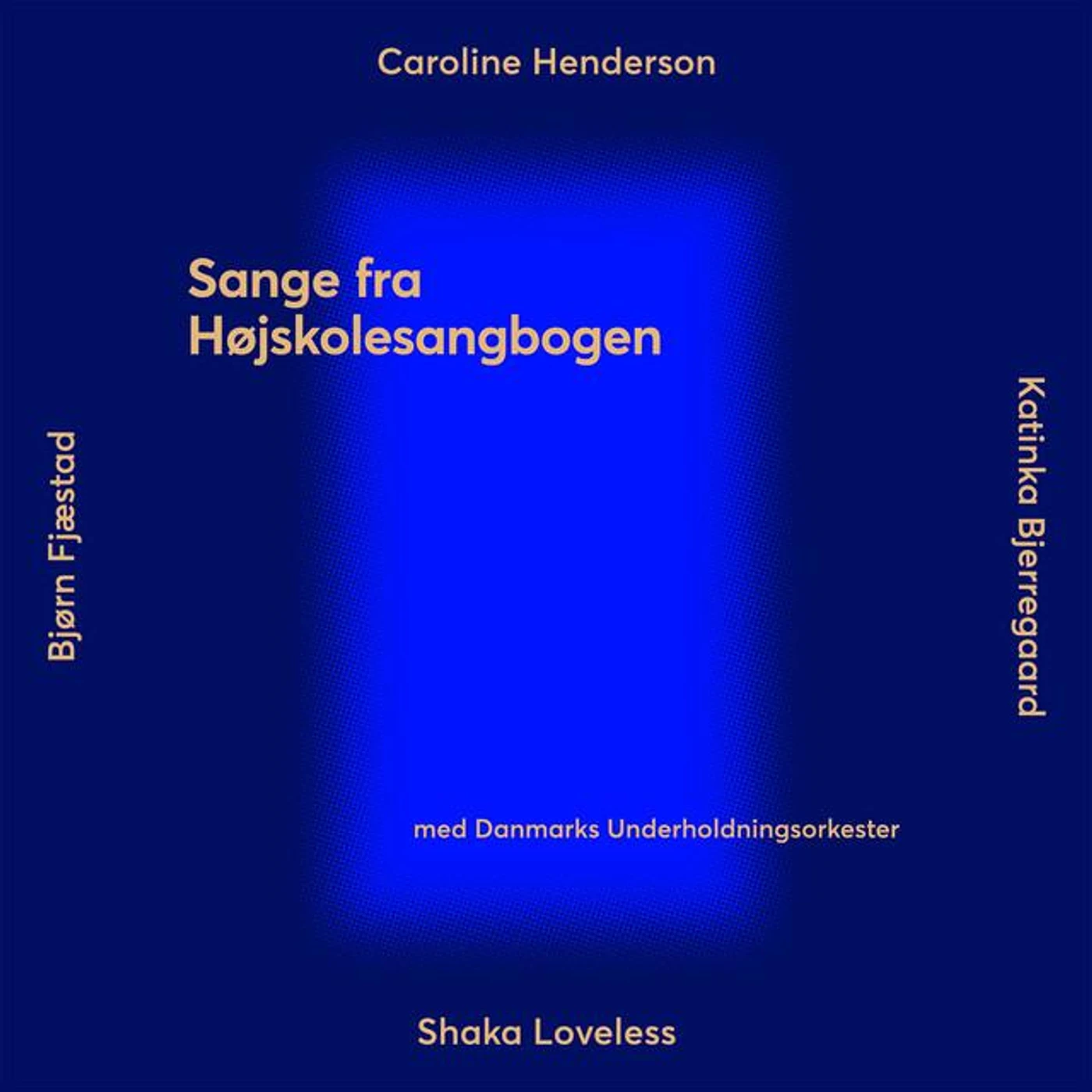 Danmarks Underholdningsorkester Brand Page