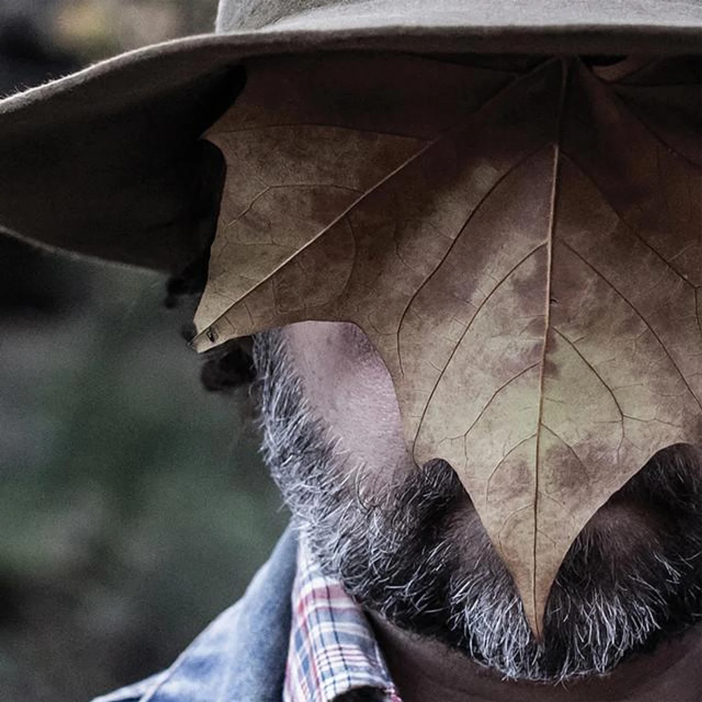 Danny & the Parts Brand Page