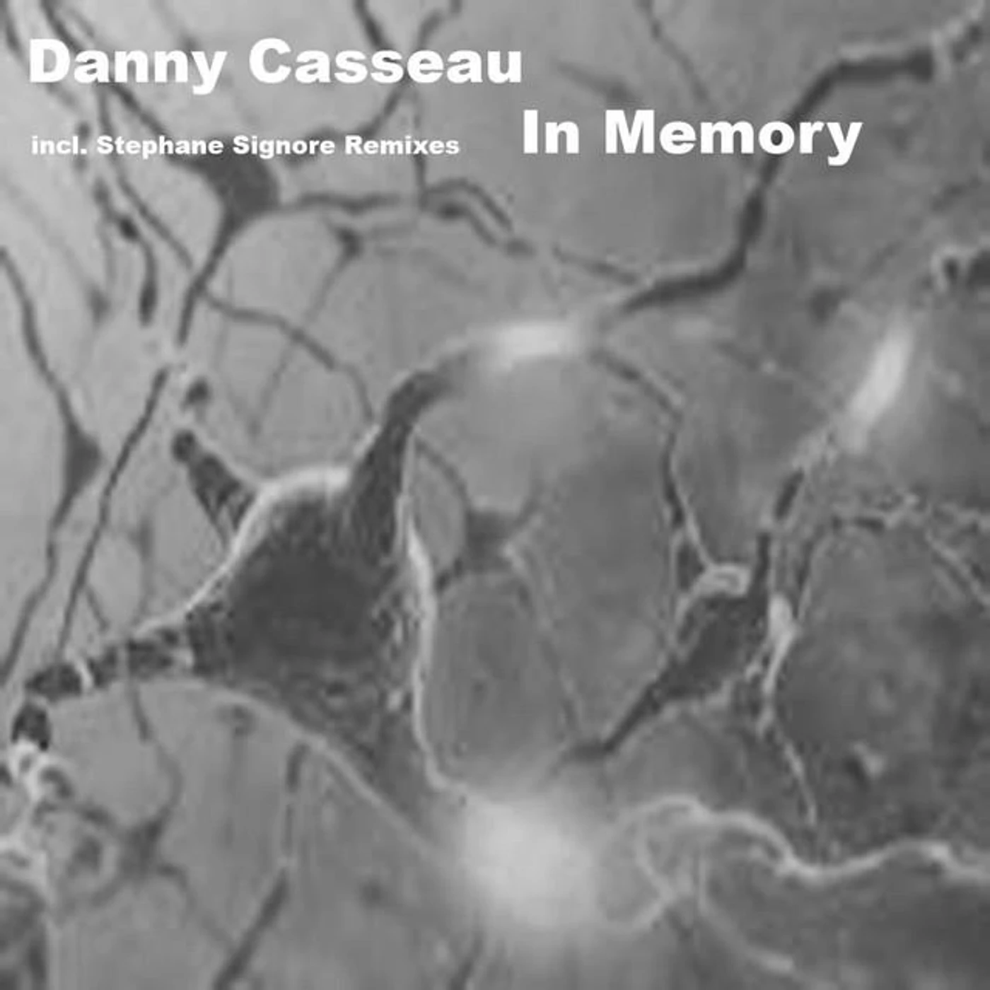 Danny Casseau Brand Page