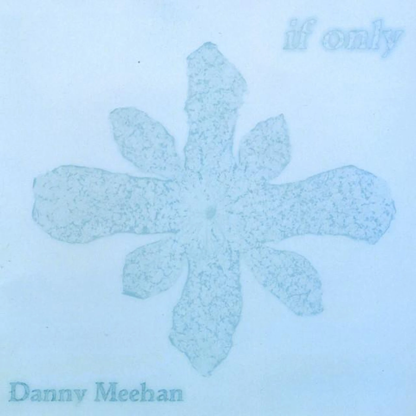 Danny Meehan