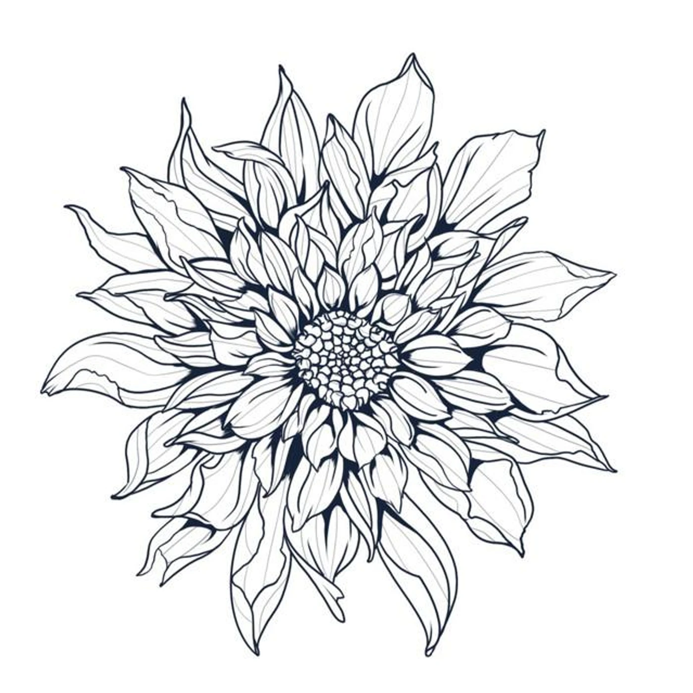 Dahlia' Brand Page