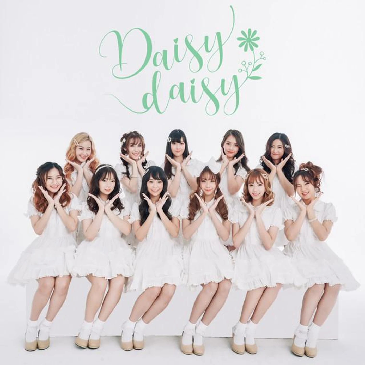Daisy Daisy Brand Page