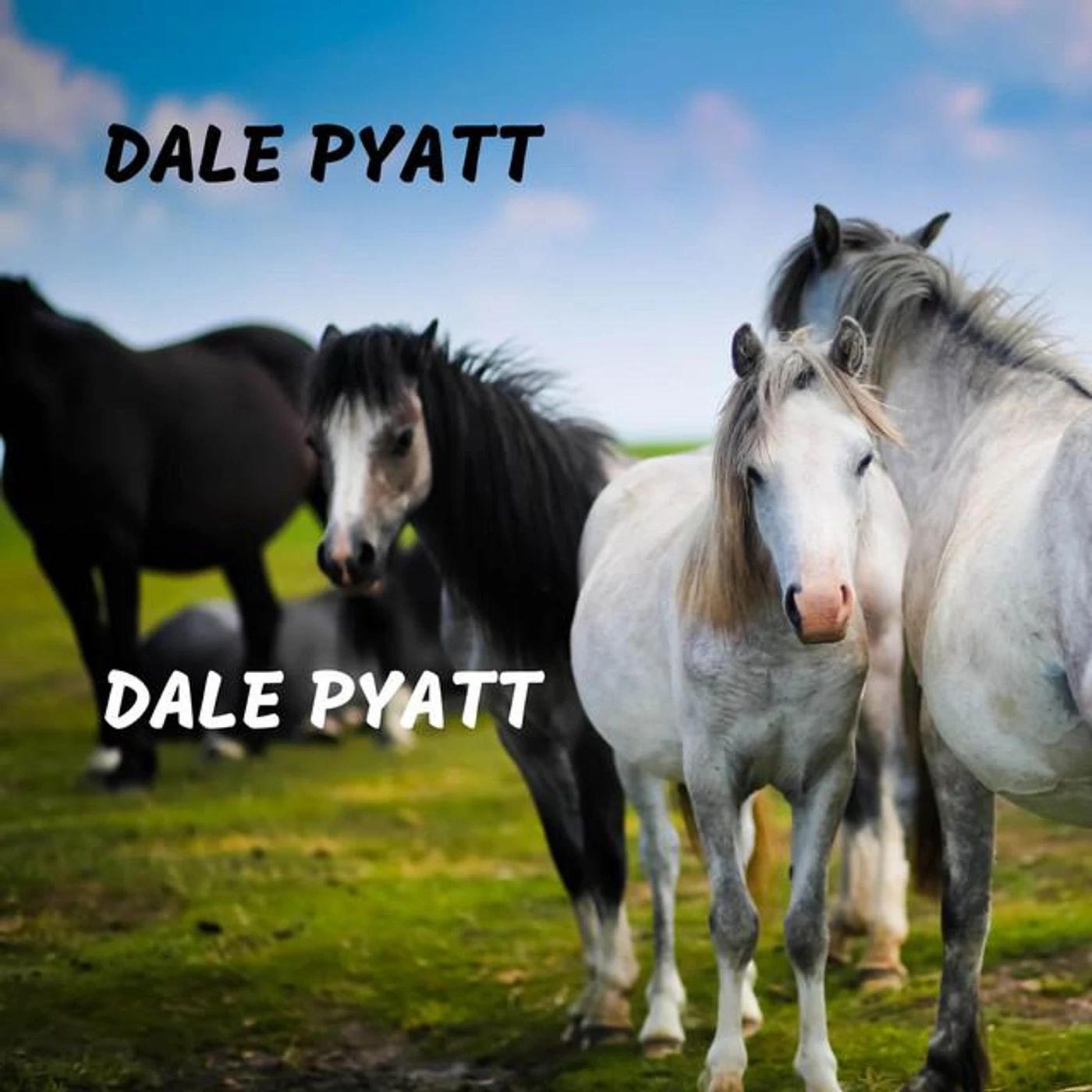 Dale Pyatt Brand Page
