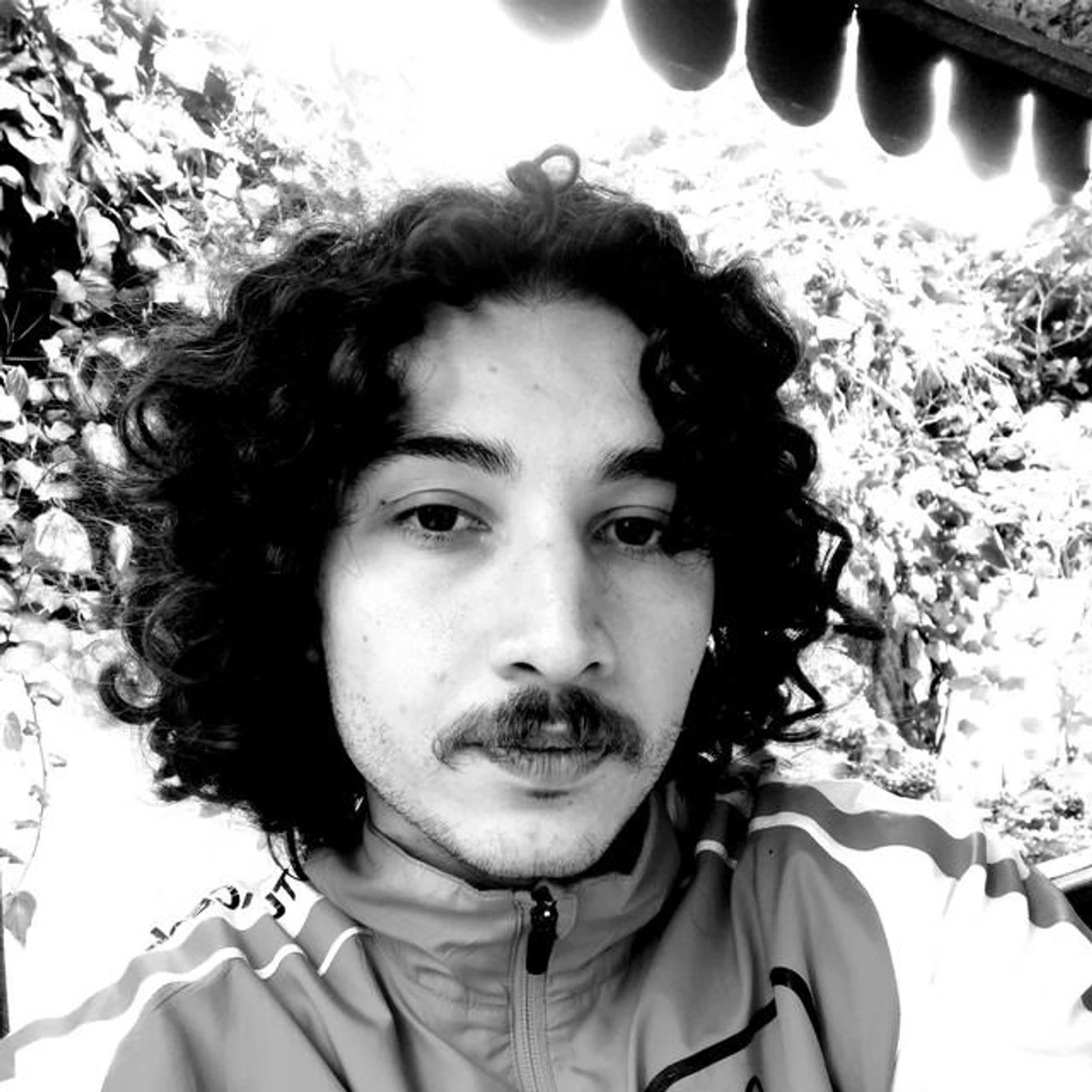 dasistalp Brand Page